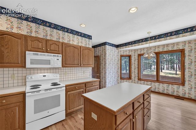 155 Pontiac Loop, Monument, CO 80132