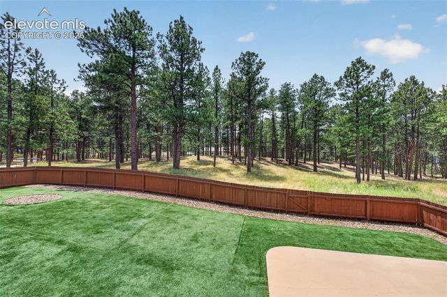 155 Pontiac Loop, Monument, CO 80132