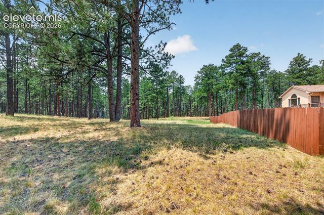 155 Pontiac Loop, Monument, CO 80132