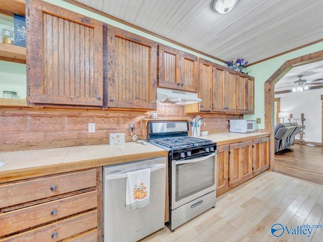 89 Mcnew Drive, Valley Head, AL 35989