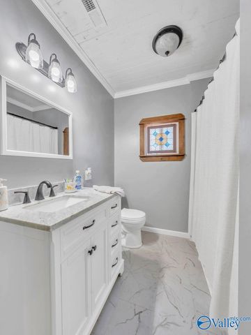 89 Mcnew Drive, Valley Head, AL 35989