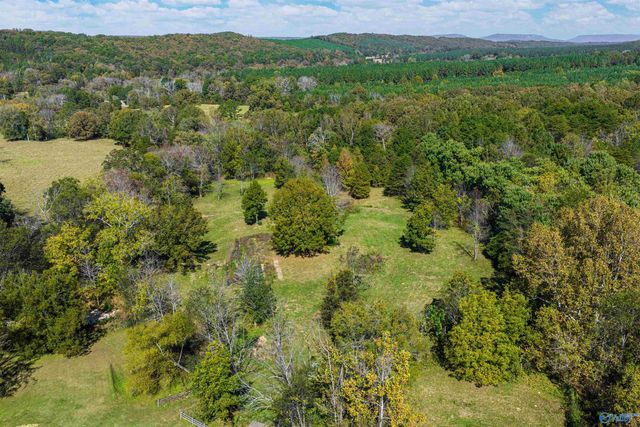 89 Mcnew Drive, Valley Head, AL 35989