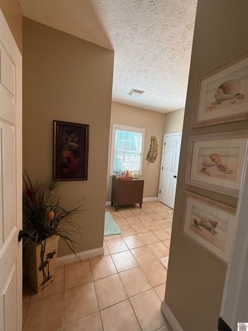 203 McKenzi Park, Benton, KY 42025