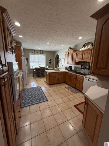 203 McKenzi Park, Benton, KY 42025