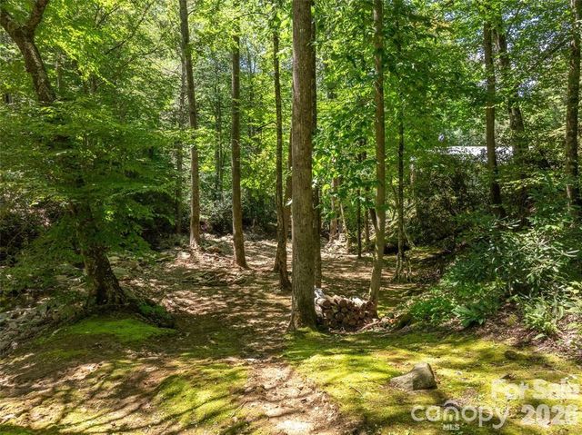 347 Blackberry Inn Road, Weaverville, NC 28787