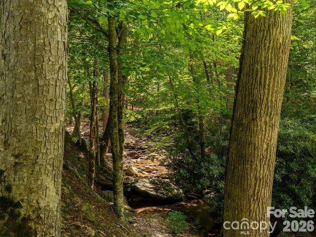 347 Blackberry Inn Road, Weaverville, NC 28787