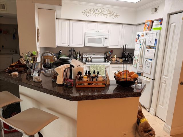 4516 SEAGULL DRIVE 515, New Port Richey, FL 34652