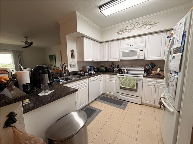 4516 SEAGULL DRIVE 515, New Port Richey, FL 34652
