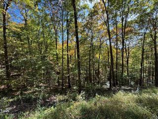 Lots 3 & 4 Holly Ridge Road, Topton, NC 28781