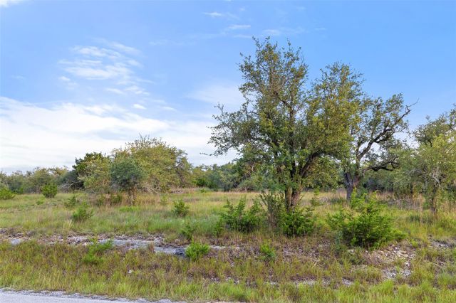 32000 Mirela Ann RD, Dripping Springs, TX 78620