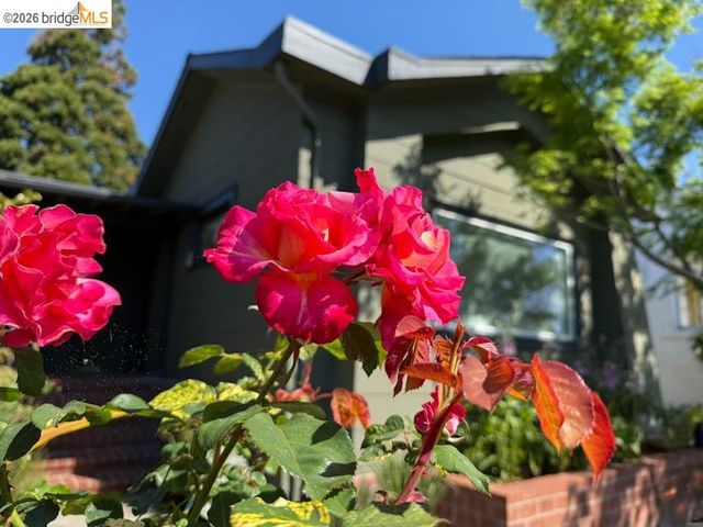 1233 Carleton St, Berkeley, CA 94702
