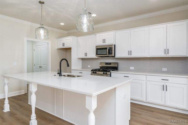 245 Royal Oaks Drive, Pike Road, AL 36064