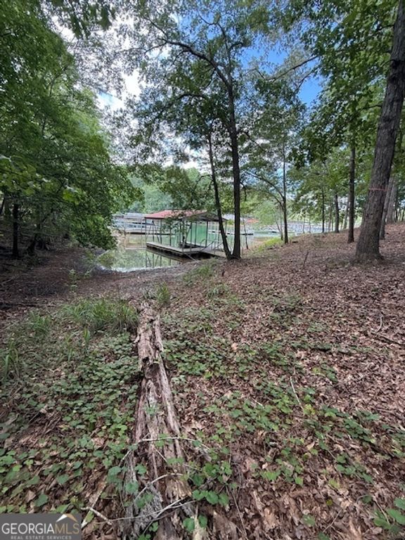 0 LOT 3 Reed Creek Point, Hartwell, GA 30643 — photo 3