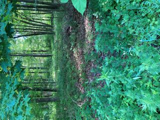 15a Adam Wagner Lane, Mahopac, NY 10541