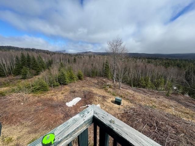 639 Pinnicle Road, Newark, VT 05871