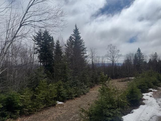 639 Pinnicle Road, Newark, VT 05871