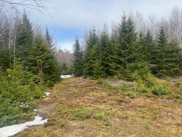 639 Pinnicle Road, Newark, VT 05871