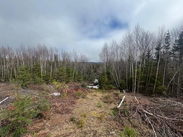 639 Pinnicle Road, Newark, VT 05871