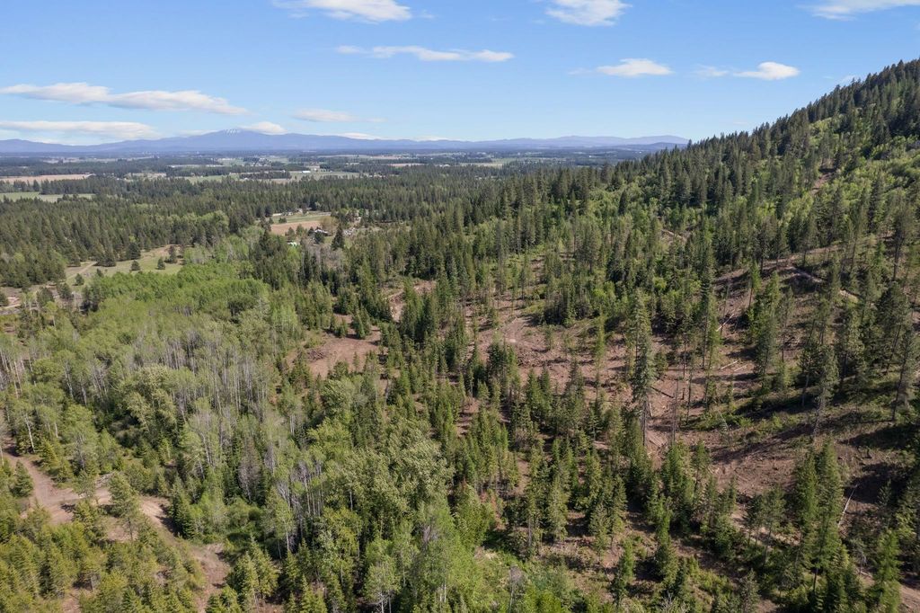 4941 Redman Lot A Rd, Clayton, WA 99110 photo 11