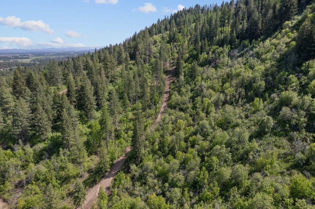 4941 Redman Lot A Rd, Clayton, WA 99110 photo 12