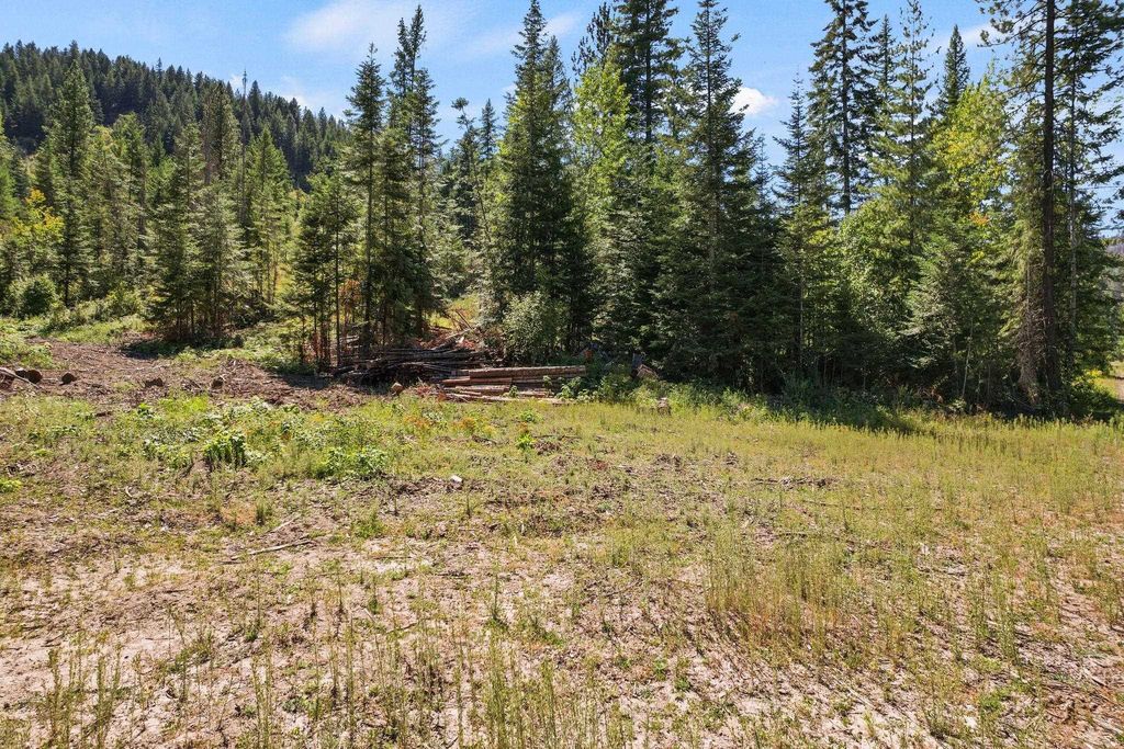 4941 Redman Lot A Rd, Clayton, WA 99110 photo 14