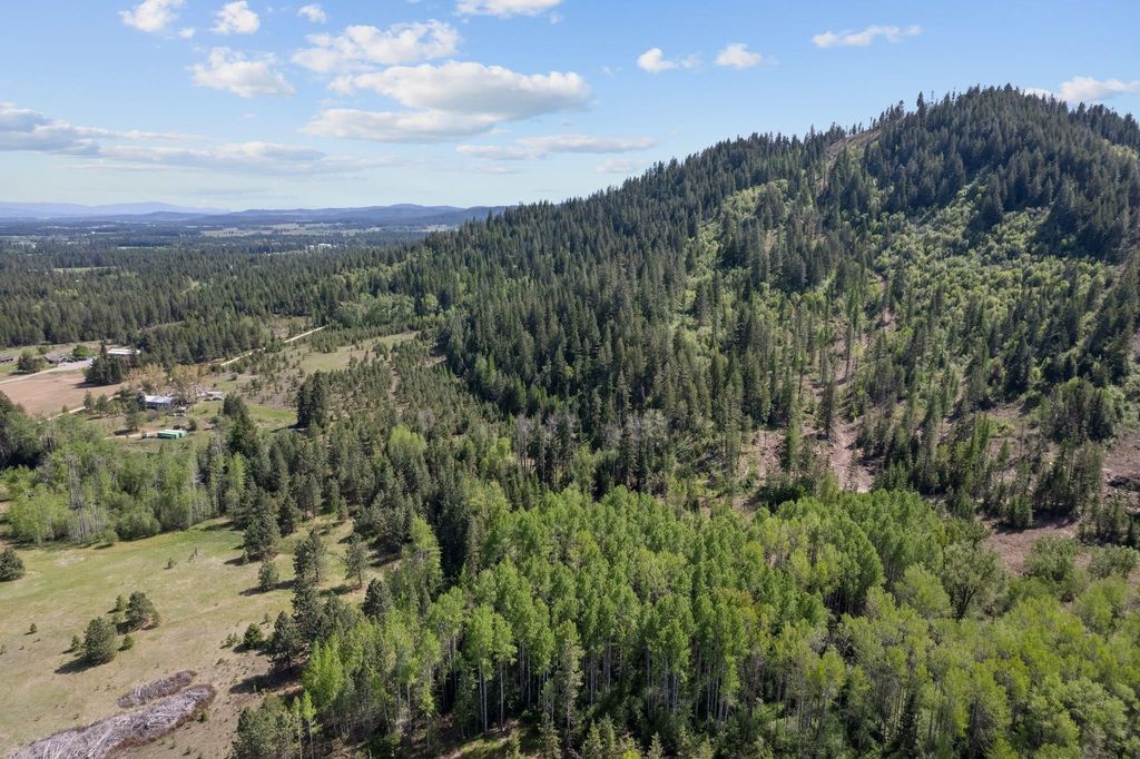 4941 Redman Lot A Rd, Clayton, WA 99110 photo 16
