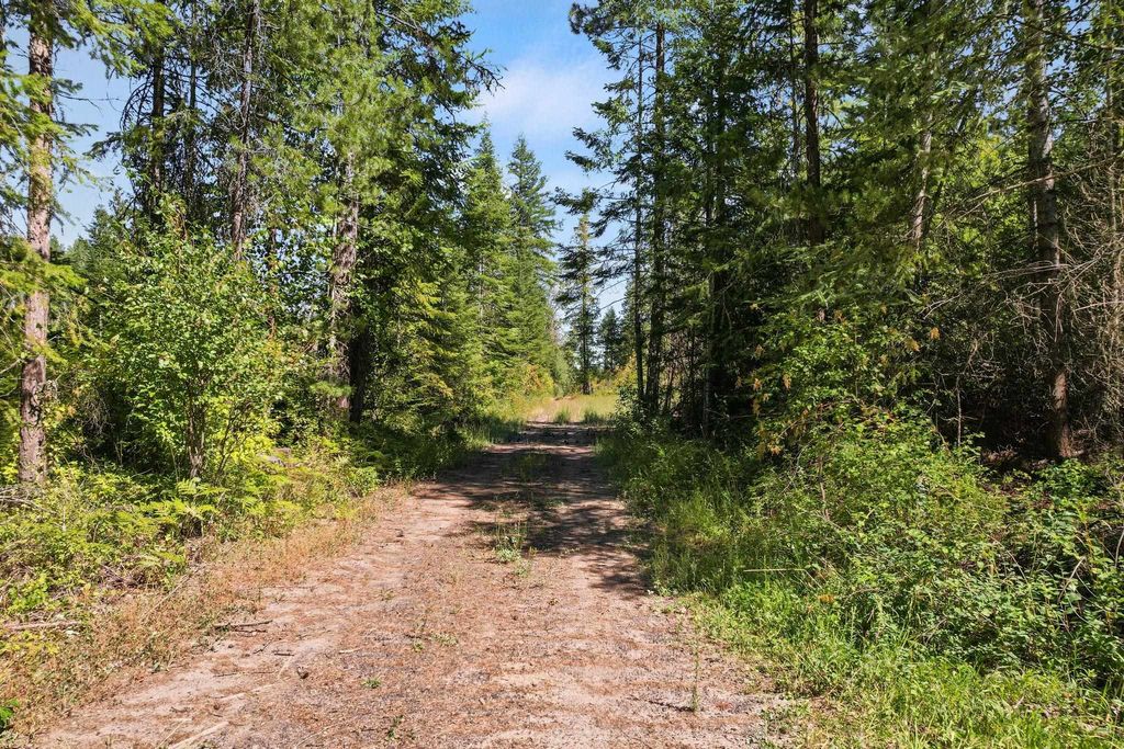 4941 Redman Lot A Rd, Clayton, WA 99110 photo 18