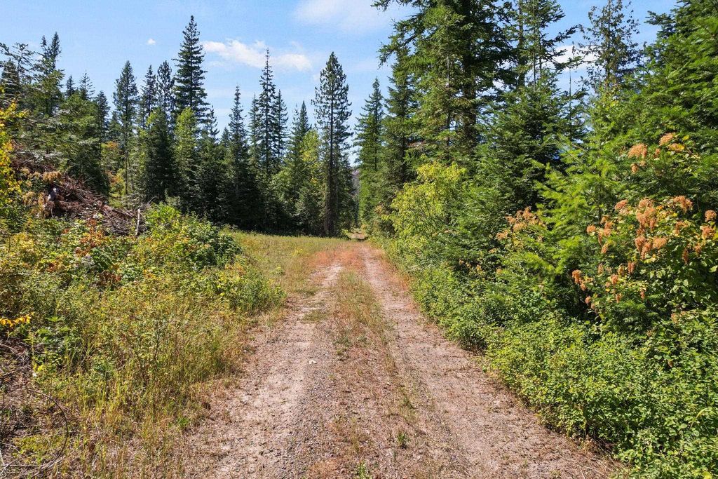 4941 Redman Lot A Rd, Clayton, WA 99110 photo 20