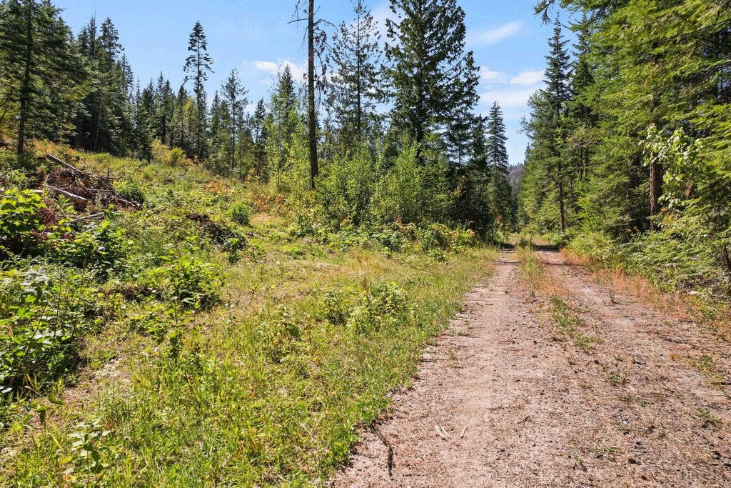 4941 Redman Lot A Rd, Clayton, WA 99110 photo 21