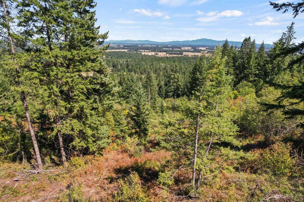4941 Redman Lot A Rd, Clayton, WA 99110 photo 25