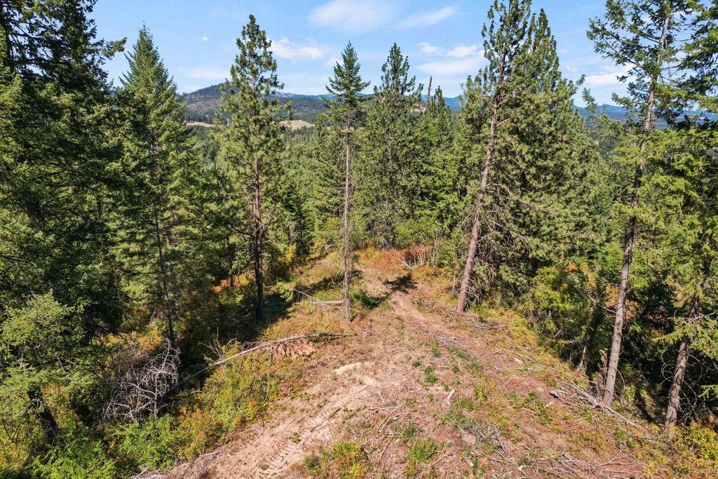 4941 Redman Lot A Rd, Clayton, WA 99110 photo 27