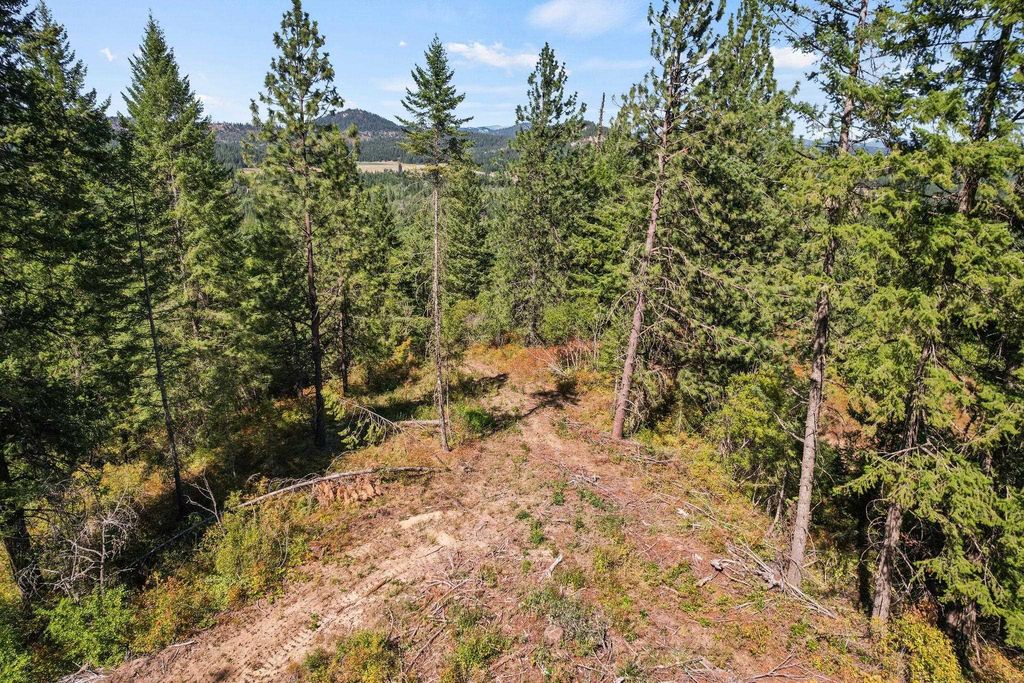4941 Redman Lot A Rd, Clayton, WA 99110 photo 28