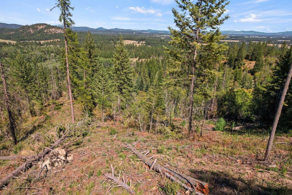 4941 Redman Lot A Rd, Clayton, WA 99110 photo 29