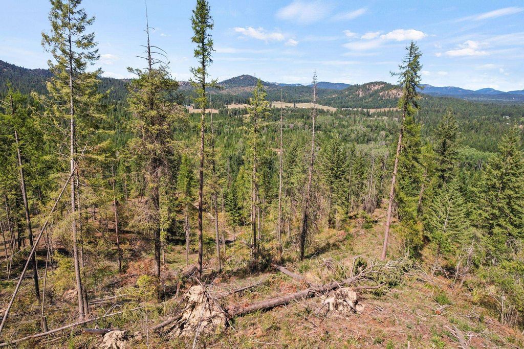 4941 Redman Lot A Rd, Clayton, WA 99110 photo 30