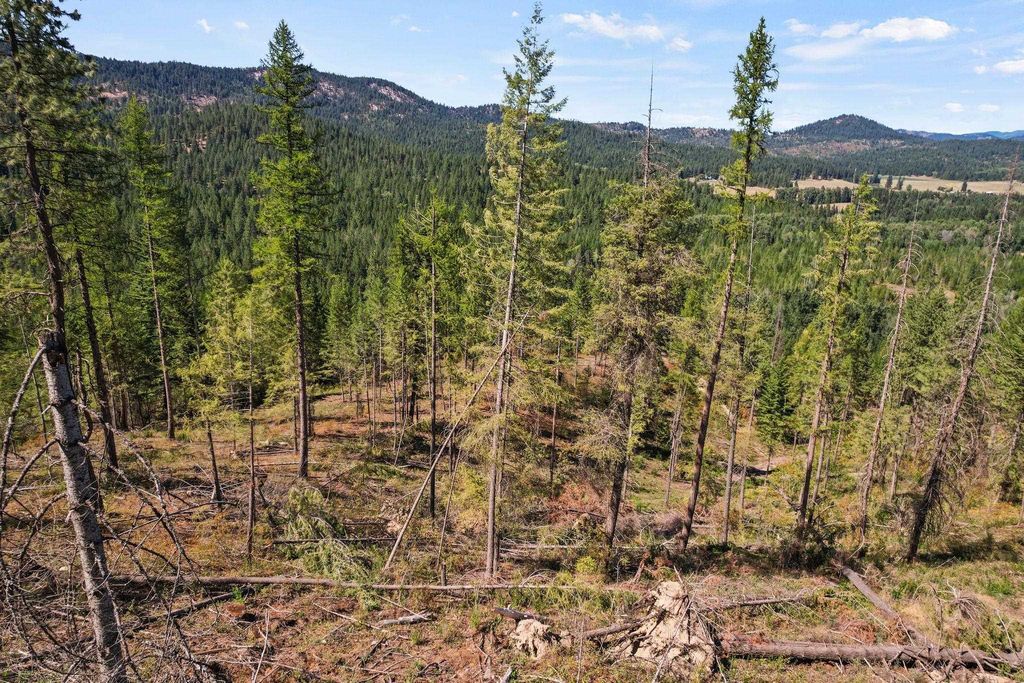 4941 Redman Lot A Rd, Clayton, WA 99110 photo 31