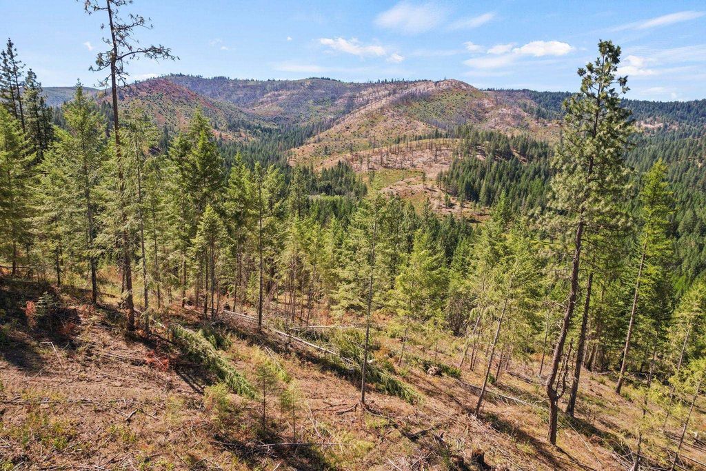 4941 Redman Lot A Rd, Clayton, WA 99110 photo 32