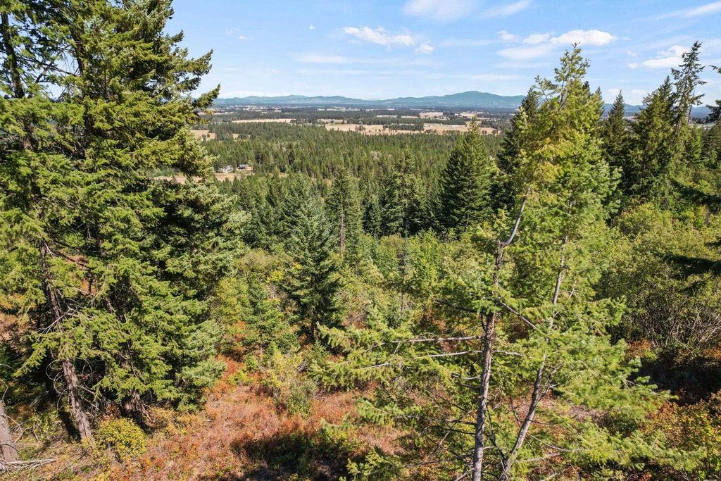 4941 Redman Lot A Rd, Clayton, WA 99110 photo 33