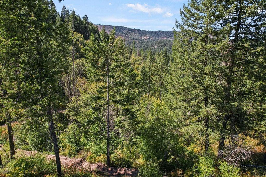 4941 Redman Lot A Rd, Clayton, WA 99110 photo 34