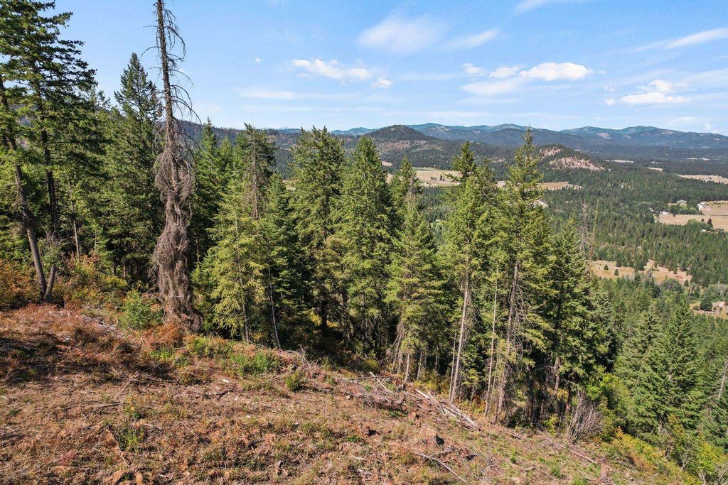 4941 Redman Lot A Rd, Clayton, WA 99110 photo 36