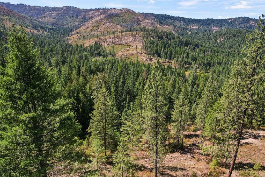 4941 Redman Lot A Rd, Clayton, WA 99110 photo 38