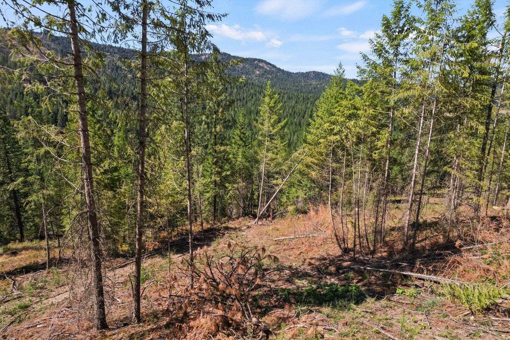 4941 Redman Lot A Rd, Clayton, WA 99110 photo 39