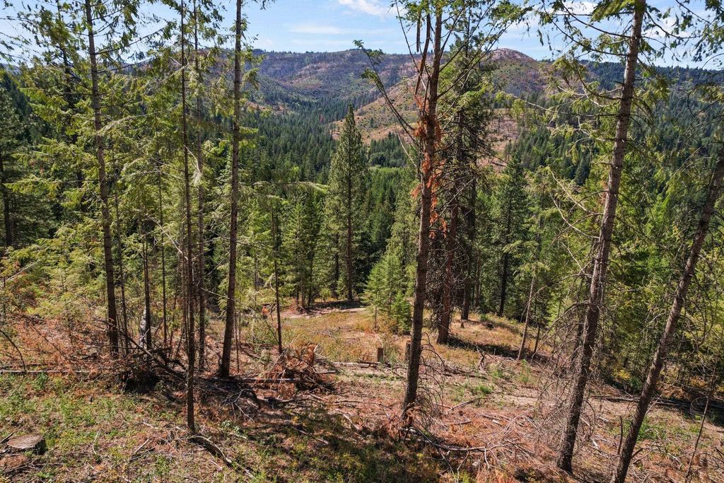 4941 Redman Lot A Rd, Clayton, WA 99110 photo 40