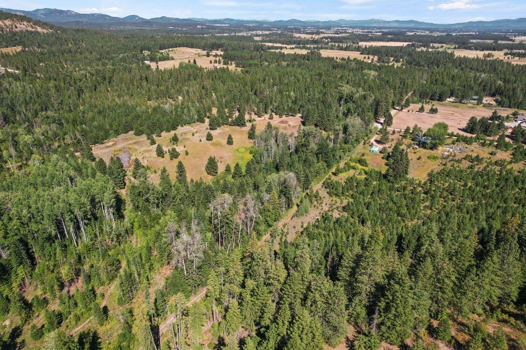 4941 Redman Lot A Rd, Clayton, WA 99110 photo 5