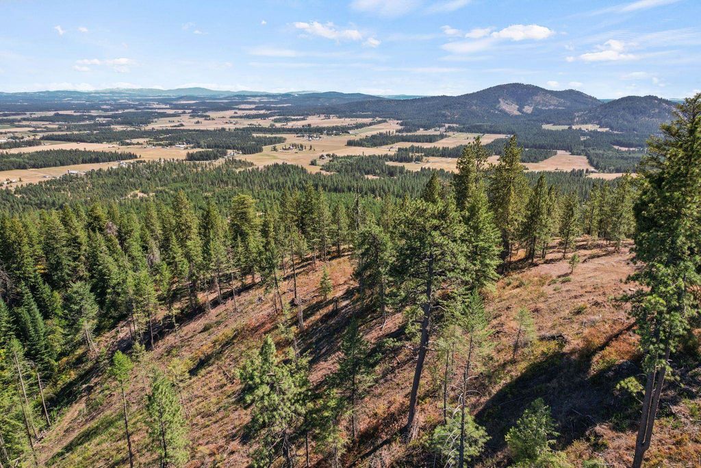 4941 Redman Lot A Rd, Clayton, WA 99110 photo 41