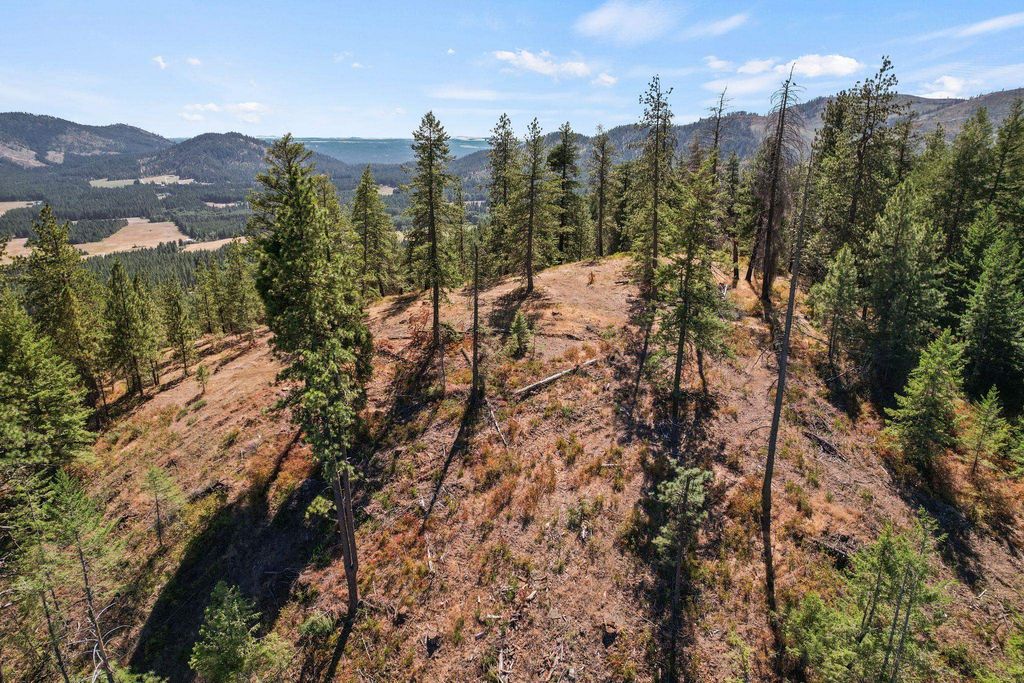 4941 Redman Lot A Rd, Clayton, WA 99110 photo 42
