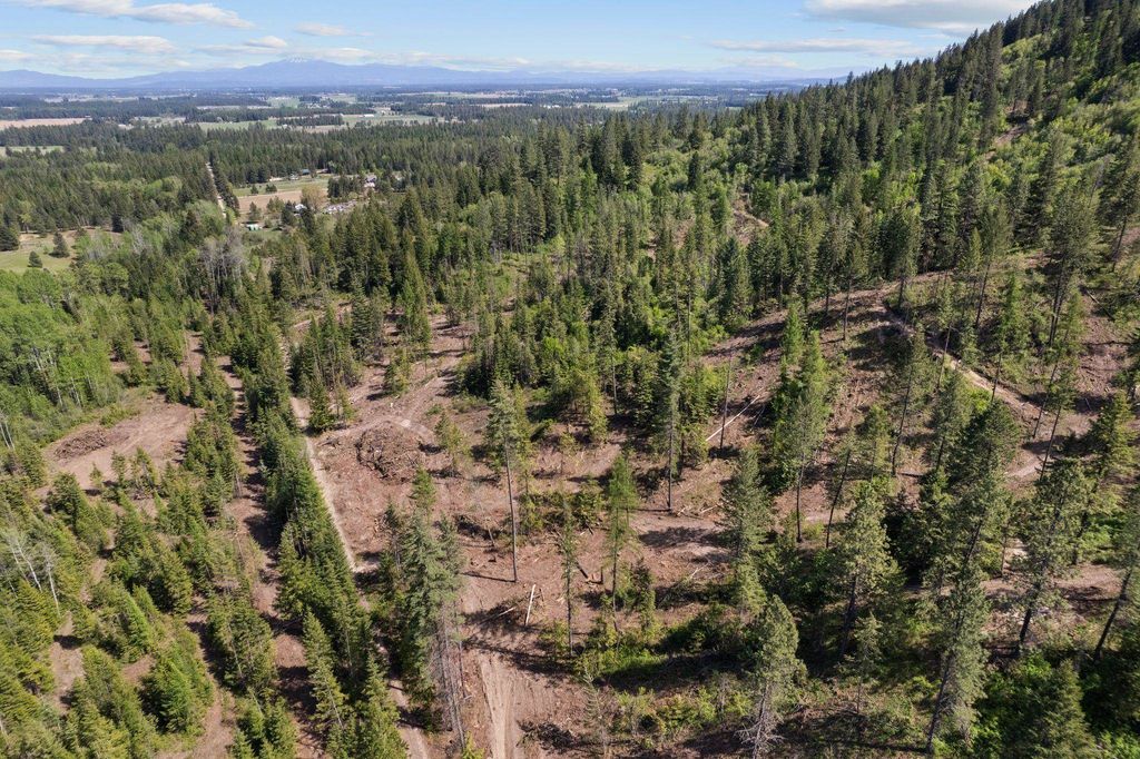 4941 Redman Lot A Rd, Clayton, WA 99110 photo 6