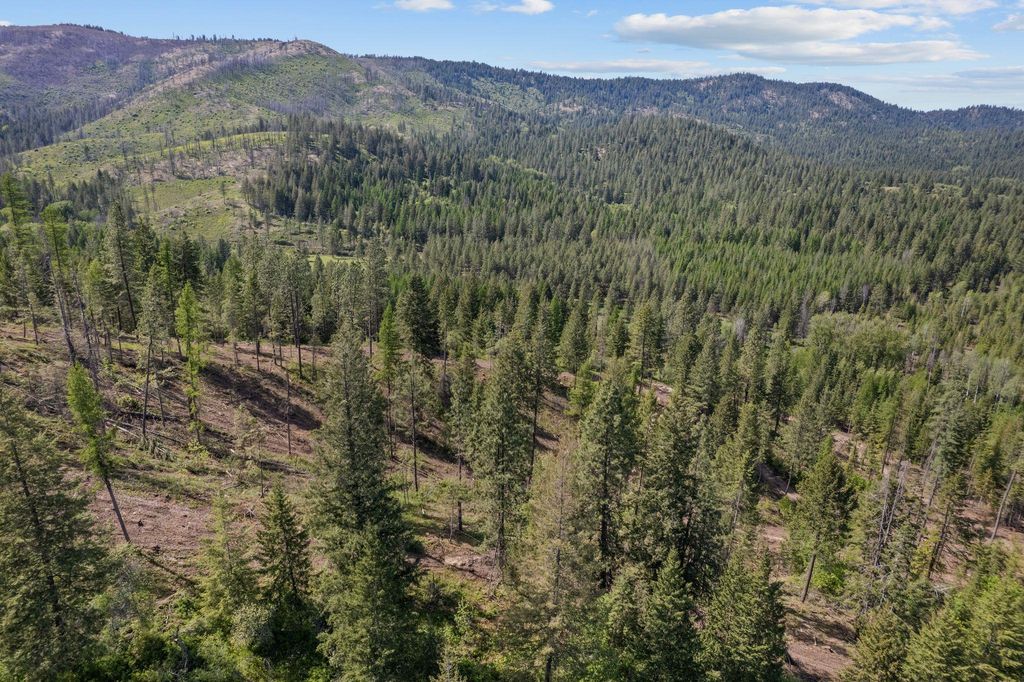 4941 Redman Lot A Rd, Clayton, WA 99110 photo 9
