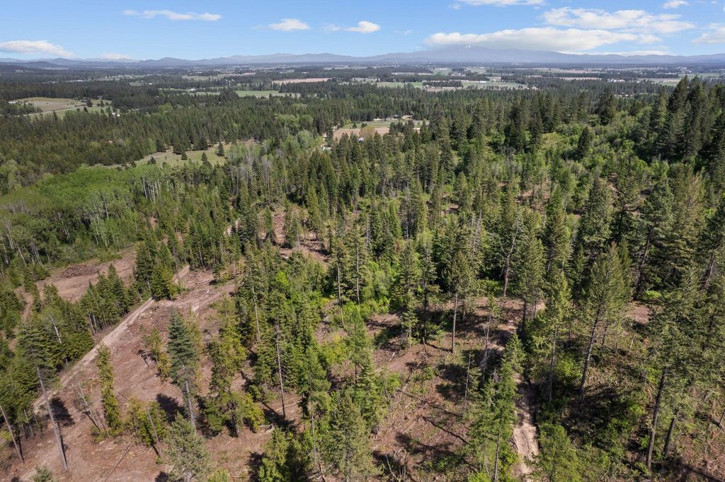 4941 Redman Lot A Rd, Clayton, WA 99110 photo 10