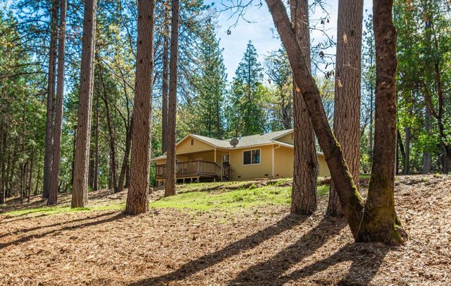 16116 Sycamore Ln, Camptonville, CA 95922