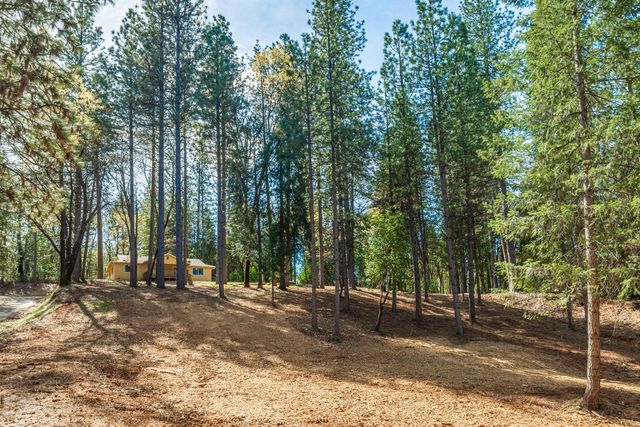 16116 Sycamore Ln, Camptonville, CA 95922